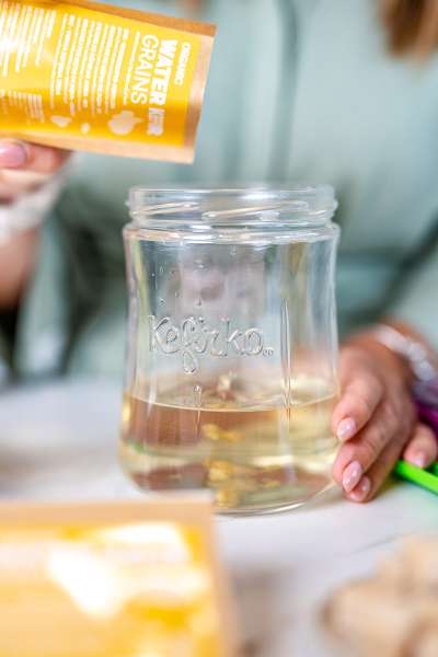 Kefirko Knollen für Wasserkefir als Starter-Kulturen