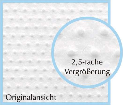 Pulmanova Premium Milbenschutzbezug, milbendichte Bezüge für die Matratze