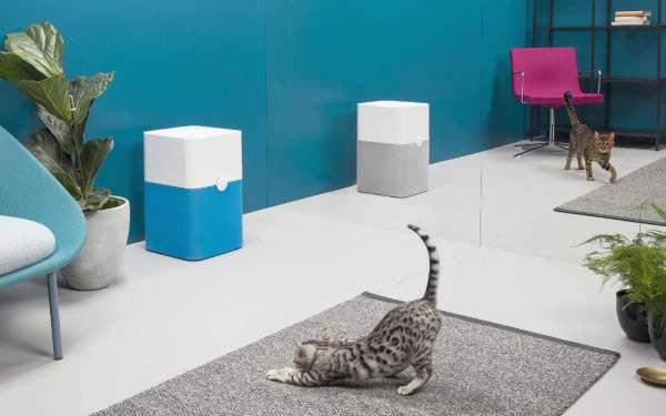 Blueair Blue Pure 221 Premium Luftreiniger im Metall Design