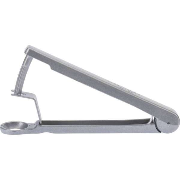 Kirschen entsteinen mit Westmark Kirschentkerner „Kernex“