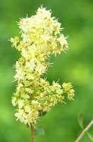 Vorschau: Khadi mittelbraun: Entdecke die Schönheit natürlicher Farben Vorschau: Khadi mittelbraun: Entdecke die Schönheit natürlicher Farben