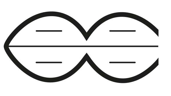 Lycona Decke duo Bettdecken aus natürlichen Materialien