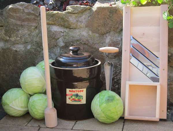 Krautstecher / Krautbohrer aus Edelstahl