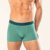 Vorschau: Nachhaltige Living Crafts Retroshorts Herren, Baumwolle Vorschau: Nachhaltige Living Crafts Retroshorts Herren, Baumwolle