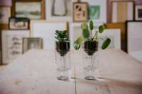 Vorschau: Side by Side Design Bewässerungssystem für Pflanzen Vorschau: Side by Side Design Bewässerungssystem für Pflanzen