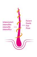 Vorschau: Khadi Color Care ayurvedisches Haaröl: fixiert und schützt Vorschau: Khadi Color Care ayurvedisches Haaröl: fixiert und schützt