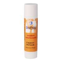 Sanddorn Lippenbalsam - Die Lippenpflege für trockene Lippen Sanddorn Lippenbalsam - Die Lippenpflege für trockene Lippen