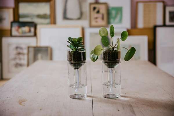 Side by Side Design Bewässerungssystem für Pflanzen