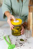 Vorschau: Kefirko Veggie Fermenter Gemüse-Fermentierer gelb Vorschau: Kefirko Veggie Fermenter Gemüse-Fermentierer gelb