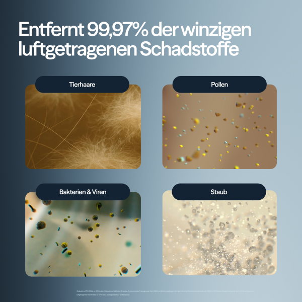 Blueair Luftreiniger Blue Pure 511i Max