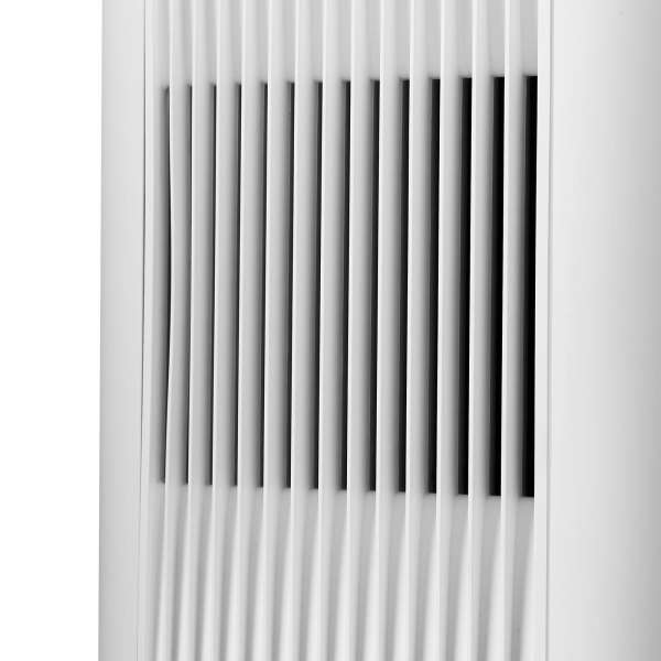 Blueair Dust Magnet 5210i - Stilvoller Staub Luftreiniger