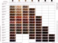 Vorschau: Ayluna Haarfarbe bordeauxrot - tierversuchsfrei & vegan Vorschau: Ayluna Haarfarbe bordeauxrot - tierversuchsfrei & vegan