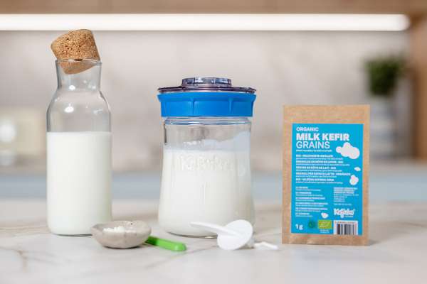 Dehydrierte Kefirknöllchen als Starter-Kultur für Milchkefir