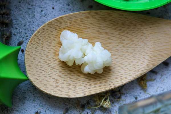 Dehydrierte Kefirknöllchen als Starter-Kultur für Milchkefir